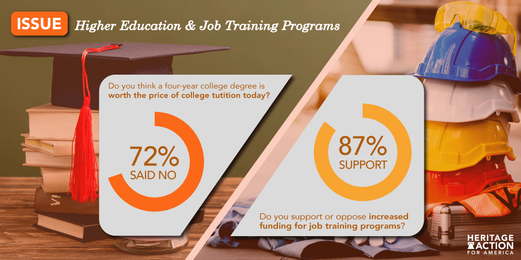 HAFA-Education-Polling.png