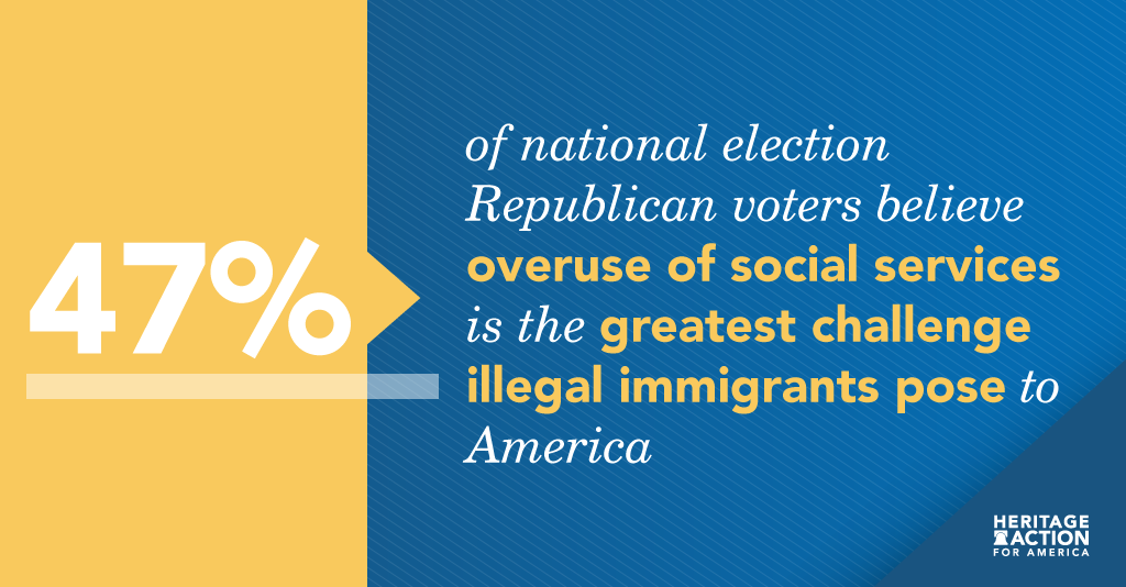 HAFA_20190809_polling-project_social-services_twt.png