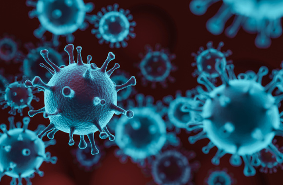 virus 2 (1).jpg