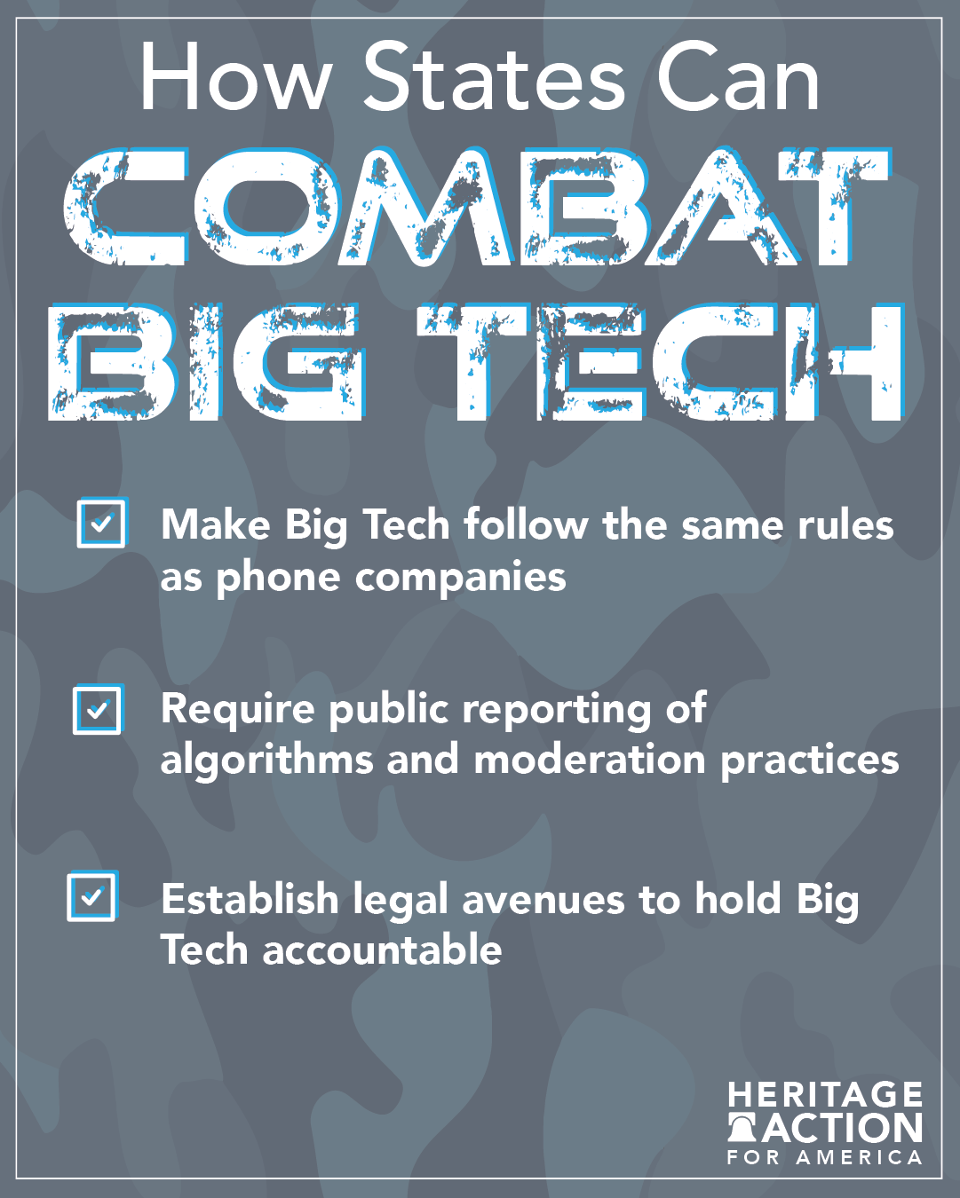 2022-03-09_Graphics_How States Can Combat Big Tech-02.png