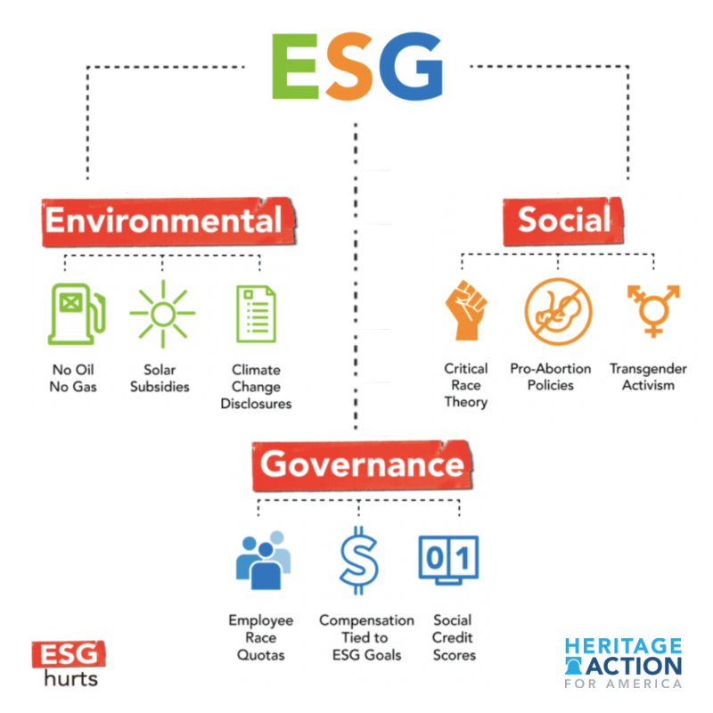 HAFA  ESG Graphic.png