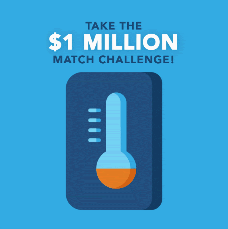 Take the Million Dollar Match Challenge!