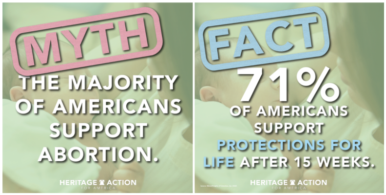 Myth vs. Fact Abortion.png