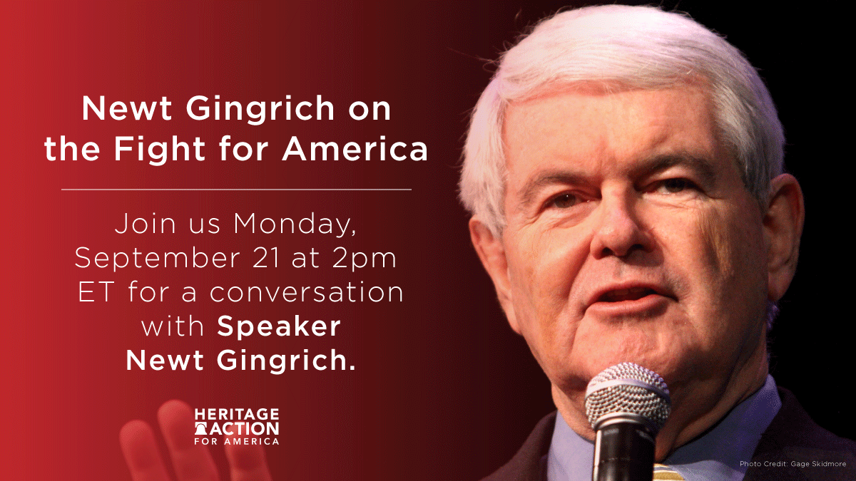 Newt-Promotional-Graphics-Twitter copy.png