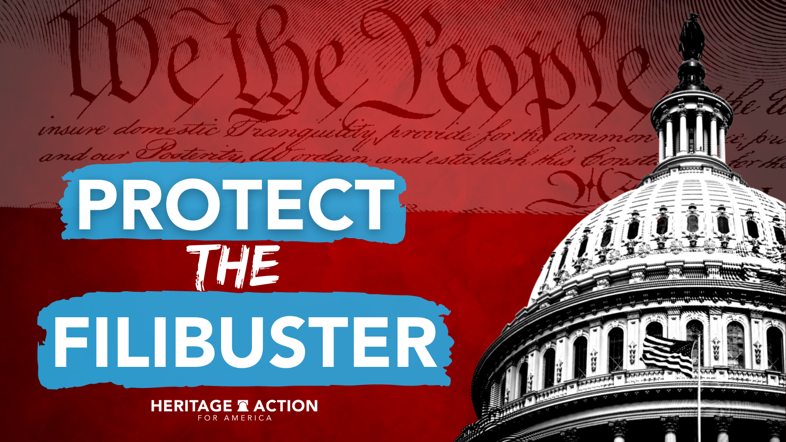 Protect The Filibuster.png