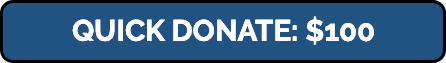 QuickDonate100.png