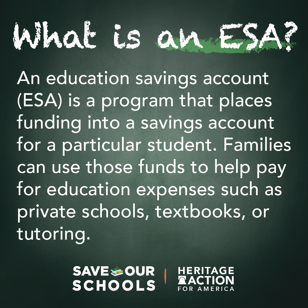 What is an ESA.png