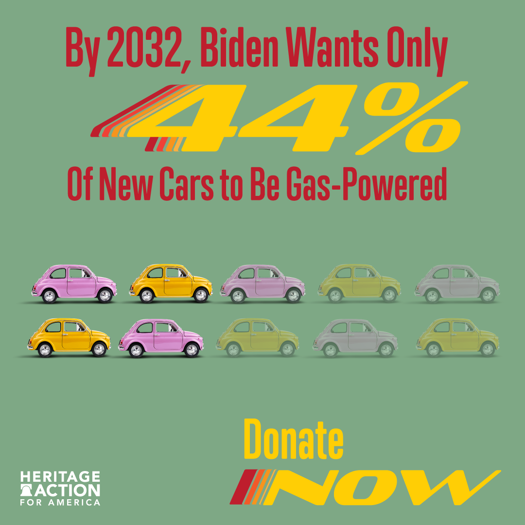 biden-cars.png