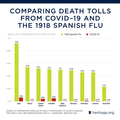 flu .jpg