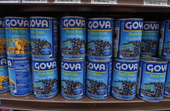 goya (1).jpg