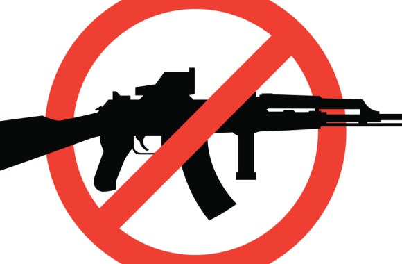 gun crontrol 1.jpeg